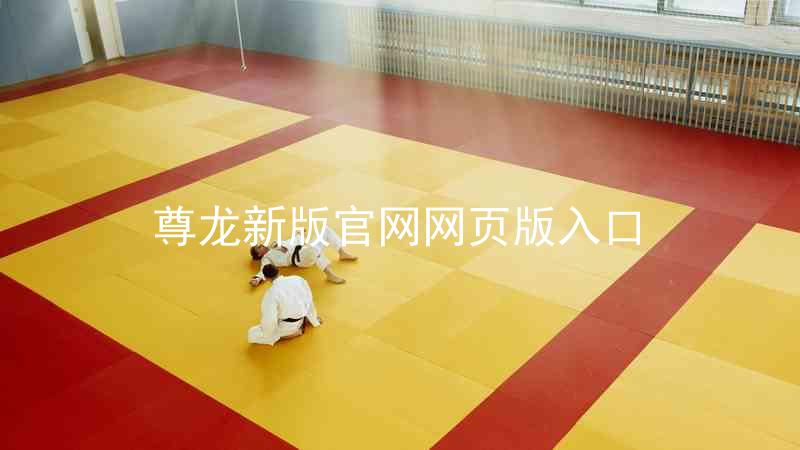 尊龙新版官网网页版入口