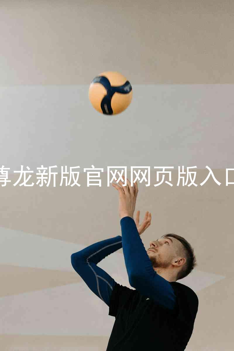 尊龙新版官网网页版入口